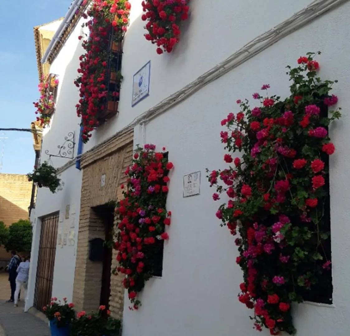 Apartament Apartamento En Barrio San Basilio Kordoba 0*,  Hiszpania